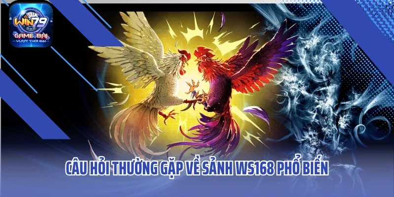 Câu hỏi thường gặp về sảnh WS168 phổ biến