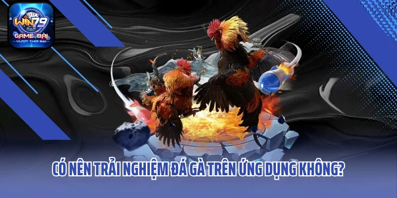 Có nên trải nghiệm đá gà trên ứng dụng không?