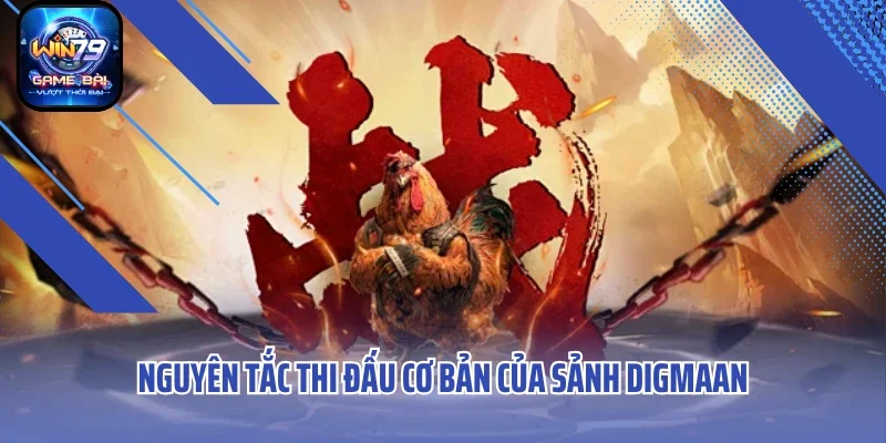 Nguyên tắc thi đấu cơ bản của sảnh Digmaan