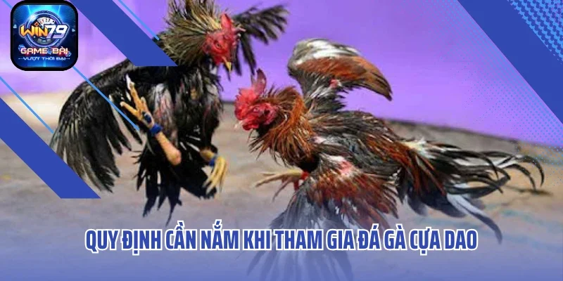Quy định cần nắm được khi tham gia đá gà cựa dao