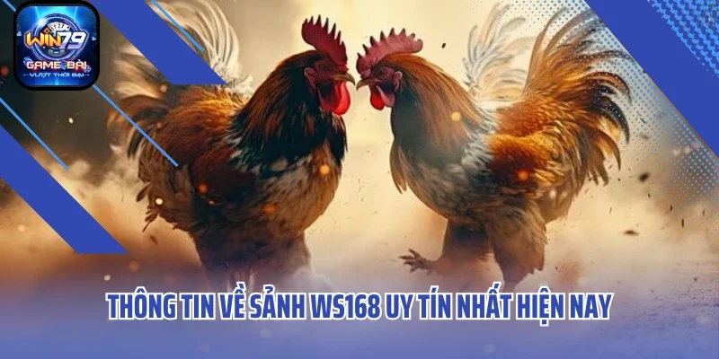 Thông tin về sảnh WS168 uy tín nhất hiện nay