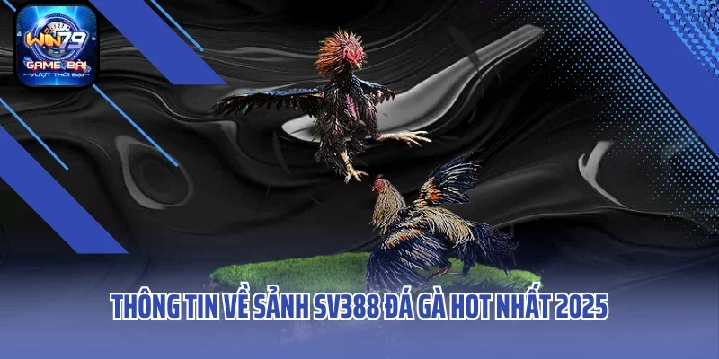 Thông tin về sảnh SV388 đá gà hot nhất 2025